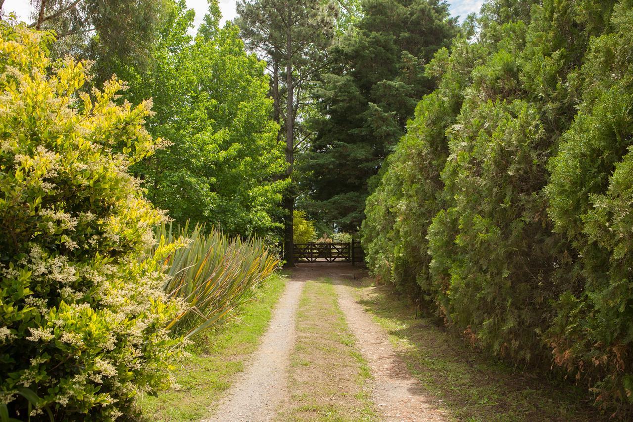 La Chacra - Hotel de Campo & Spa San Pedro  Esterno foto